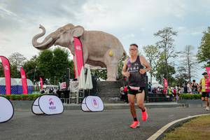 BIB: 
                            <button type="button" onclick="openModal(26528698)" class="btn btn-primary btn-sm float-right btn-popup" data-toggle="modal" data-target=".modal-high-quality">
                        <i class="fas fa-shopping-cart"></i> Add to Cart
                    </button>
                                            <button type="button" onclick="isThisMe(26528698, true)" class="btn btn-success btn-sm float-right btn-popup btn-isme hidden" data-toggle="tooltip" data-placement="bottom" title="นี่คือรูปของคุณใช่ไหม คลิกที่นี่เพื่อเอาเข้าอัลบั้ม">
                        <i class="fas fa-plus"></i> Add to album
                    </button>
                    <button type="button" onclick="isThisMe(26528698, false)" class="btn btn-warning btn-sm float-right btn-popup btn-isnotme hidden">
                        <i class="fas fa-ban"></i> Remove from album
                    </button>